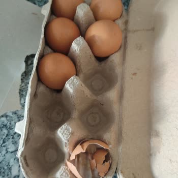 BİM Bozuk Tavuk, Yumurta