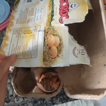 BİM Bozuk Tavuk, Yumurta