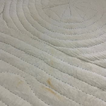 Ege Halı Yıkama (Gebze) Halı Ye Yorganlarımız Mahvoldu