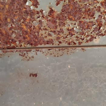 Tınaz Tarım Römork Boya Atması