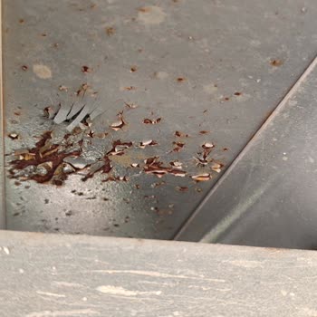 Tınaz Tarım Römork Boya Atması