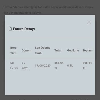 Hatay Büyükşehir Belediyesi Sayaç Okumadan Borçlandırma