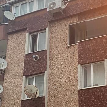 Vestel Pişmanlığı Yerli Olsun Dedik