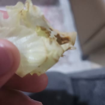 Komagene Çiğköftenin Yoğrulmamış Olması Ve Yeşilliğin Yıkanmamış Olması
