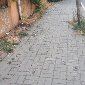 Pendik Belediyesi Sokaklar Çöplük Gibi
