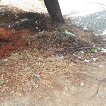 Pendik Belediyesi Sokaklar Çöplük Gibi