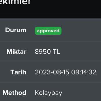 Betturkey Para Çekme Sorunu