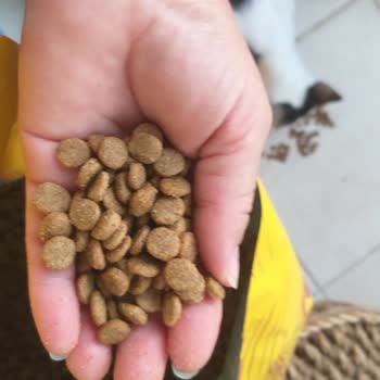 Liva Marka Tavuklu Kedi Maması Kötü Kokuyor