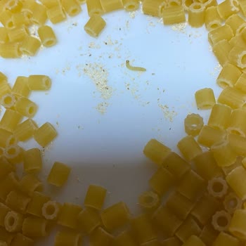 BİM Cardella Makarna Kalitesizliği