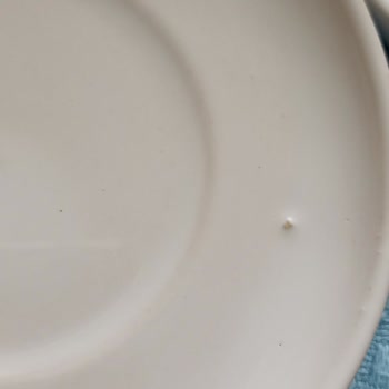 Çiçek Sepeti'nden Aldığım 2li Fincan Seti Defolu Geldi