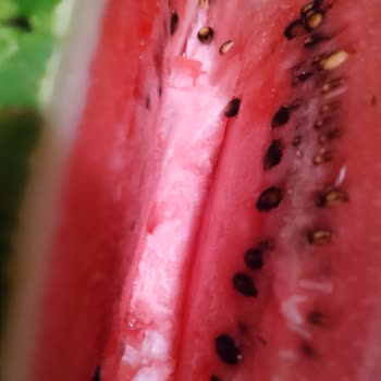 Migros Karpuz Alışverişiyle İlgili Sorun