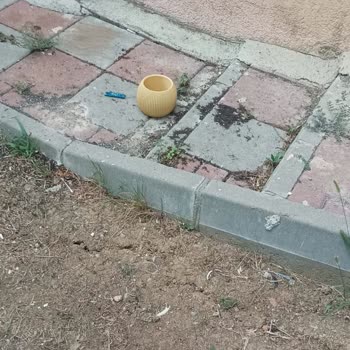 Kiptaş Site Sakinlerinin Saksısı Yerlere Patır Patır Düşüyor