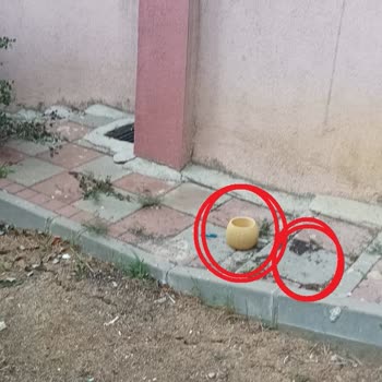 Kiptaş Site Sakinlerinin Saksısı Yerlere Patır Patır Düşüyor