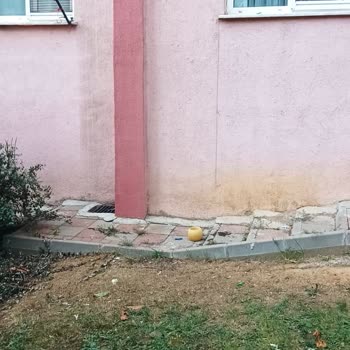 Kiptaş Site Sakinlerinin Saksısı Yerlere Patır Patır Düşüyor