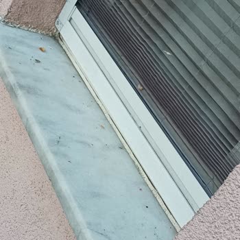 KİPTAŞ Tuzla Etap 2'de Sümüklü Böcek Sorunu!