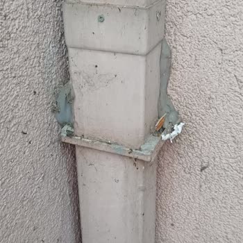 KİPTAŞ Tuzla Etap 2'de Sümüklü Böcek Sorunu!