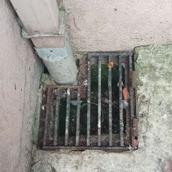 KİPTAŞ Tuzla Etap 2'de Sümüklü Böcek Sorunu!