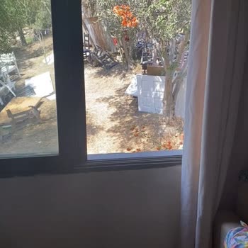 Costa 3s Beach Bodrum En Kötü Otel!