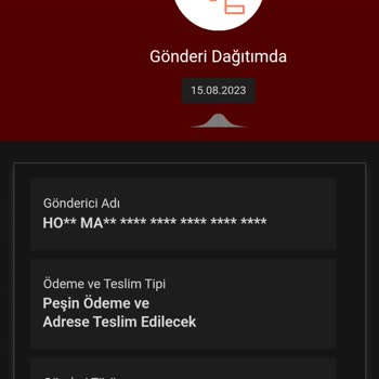 MNG Kargo'nun Kargoyu Adrese Teslim Etmemesi