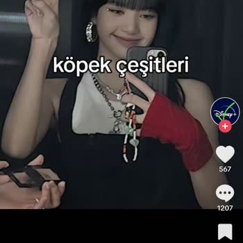 TikTok Atatürk'e Hakaret Küfür