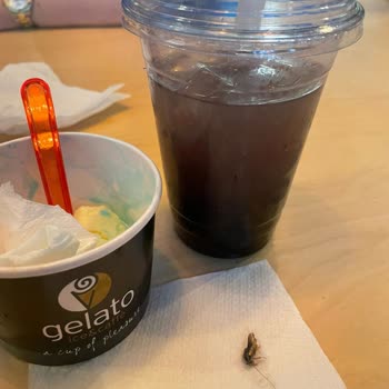 Gelato Ice Caffe Bubble Tea İçerisinde Haşarat