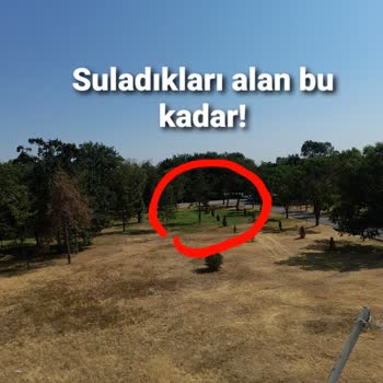 Türkiye Şeker Fabrikaları A.Ş. A Tipi Evlerin Olduğu Alan Sulanmıyor!