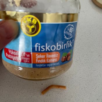 Fiskobirlik'ten Çıkan Sert Cisim