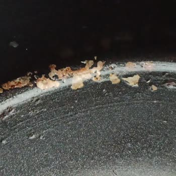 Robo Türkiye'den Aldığım Air Fryer Sorunu