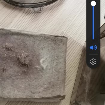 Philips Ev Aletleri Süpürge Çekim Sorunu