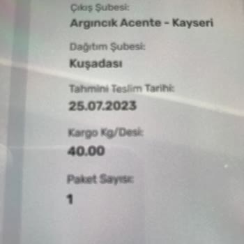 Sürat Kargo Mu, Karınca Kargo Mu