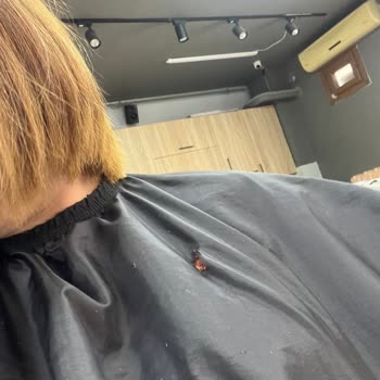 Sedat Akademi Business Memnuniyetsizliği