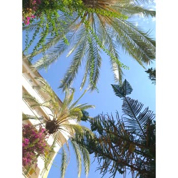 Alaiye Hotels Kaliteyi Bozmuş