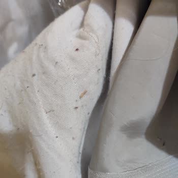 Filiz Özel Tasarım İnsanları Yanıltmak Bu Kadar Kolay Olmamalı