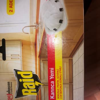 Raid Karınca Yemi Hiçbir İşe Yaramadı!