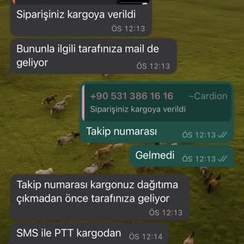 Cardion Eşarp Kargoya Verildi Denildi Yanlış Yönlendirme