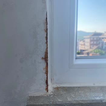 Türkiye Sigorta Paramızı Alırken Alıyor Ödemeye Gelince Yok