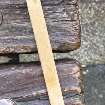 Bombom Algida Dondurma