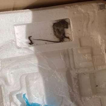 Samsung Online Shoptan Alınan Klimanın İçinden Fare Ölüsü Çıkması