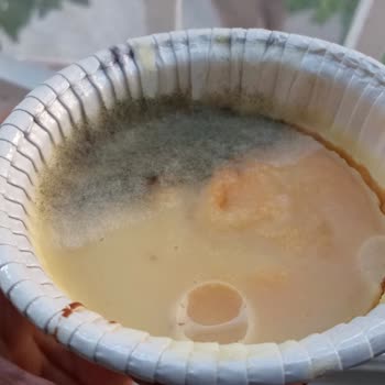 Ülker Küflü Çıktı Ürün