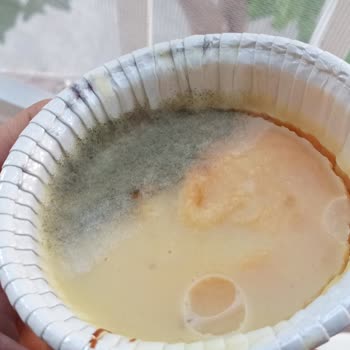 Ülker Küflü Çıktı Ürün