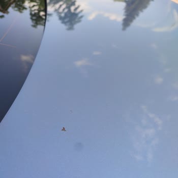 Eza Clean Oto Temizlik Şikayeti