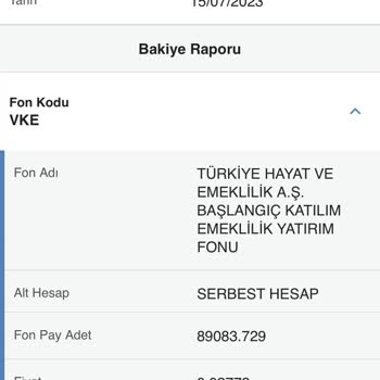 Türkiye Hayat Emeklilik Bireysel Emeklilik İşlemi