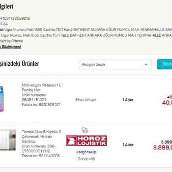 Horoz Lojistik Kargo Teslim Edememesi