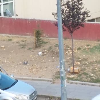 Keçiören Belediyesinin Vurdun Duymazlığı