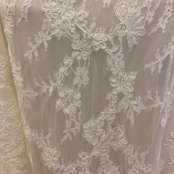 Setri Nur Fazla Paranın Peşinde