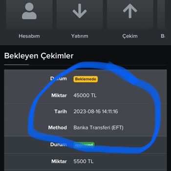 Betturkey Sitesi Yanıltıyor Mu?