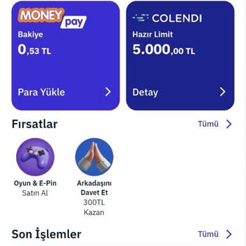 Türk Finansman Turk Finansman Olmayan Kredi Borcu