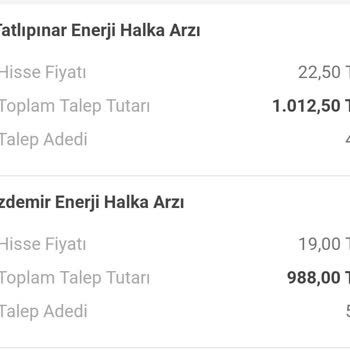 VakıfBank Halka Arz Lider İptali Saçmalığı