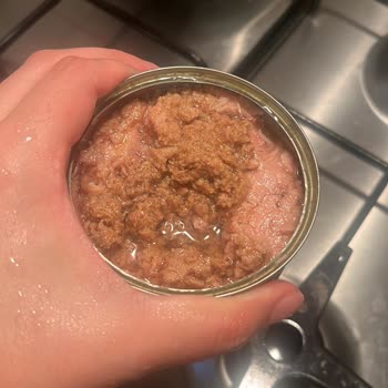 Bozuk Superfresh Ton Balığı