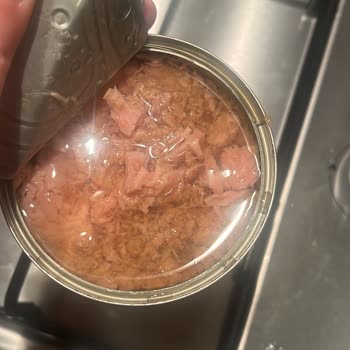 Bozuk Superfresh Ton Balığı